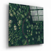 Forest Road Glass Wall Art.